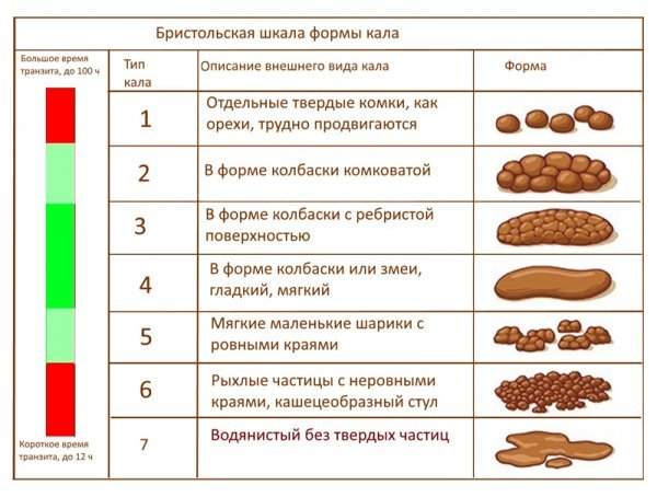 Бристольская шкала формы кала