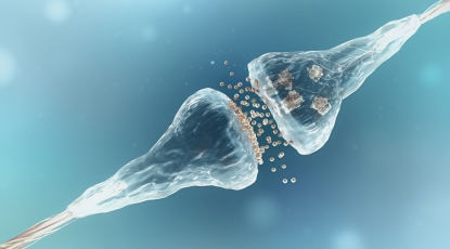 Синаптические протеины могут быть полезны в диагностике нейродегенеративных заболеваний